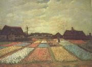 Bulb Fields (nn04)